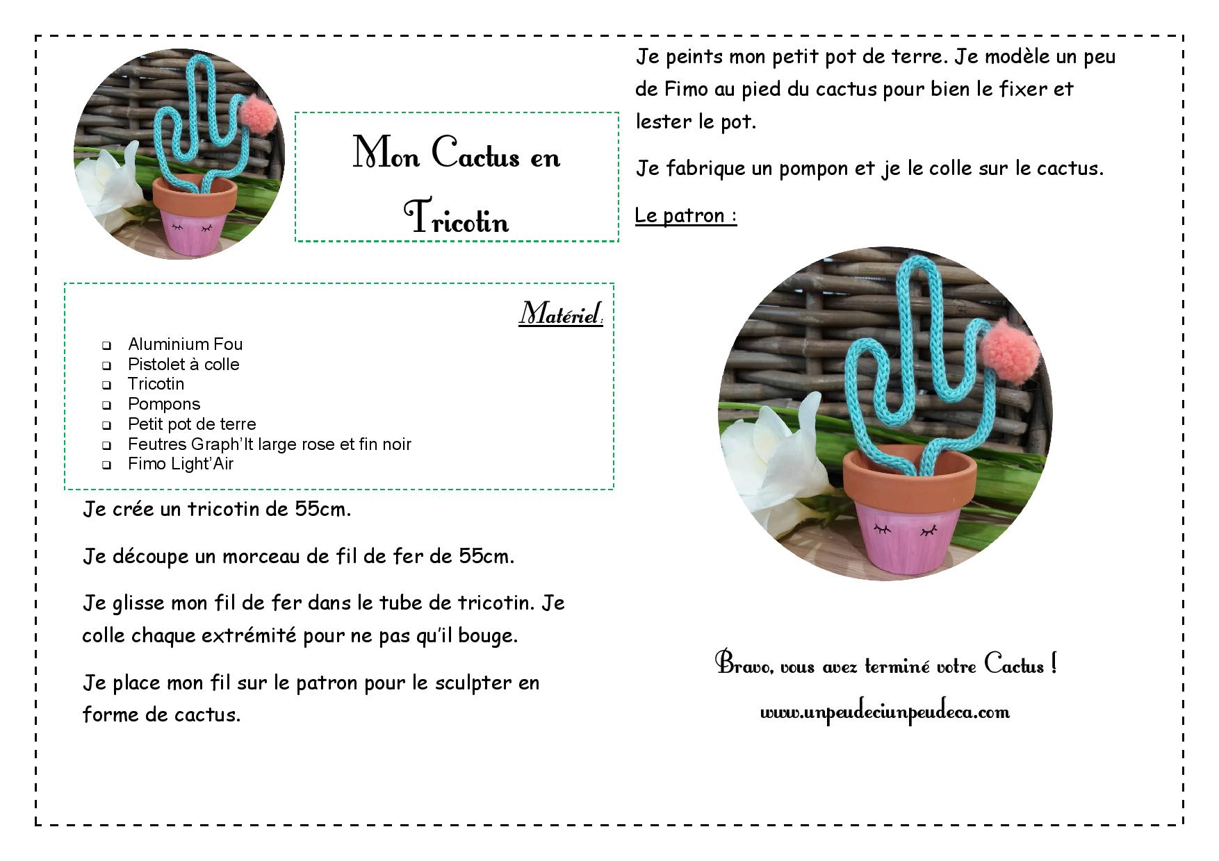 tutoriel gratuit déco cactus tricotin